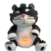 GATO ANSIEDAD
