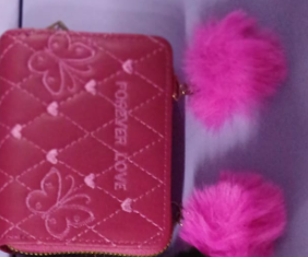 CARTERA MUJER