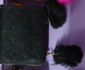 CARTERA MUJER