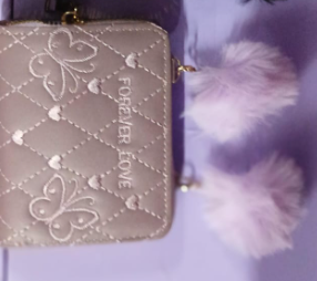 CARTERA MUJER