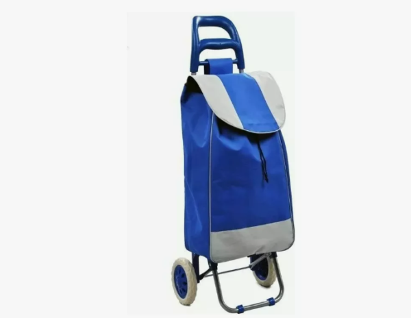 CARRITO DE MANDADO ESTAMPADO