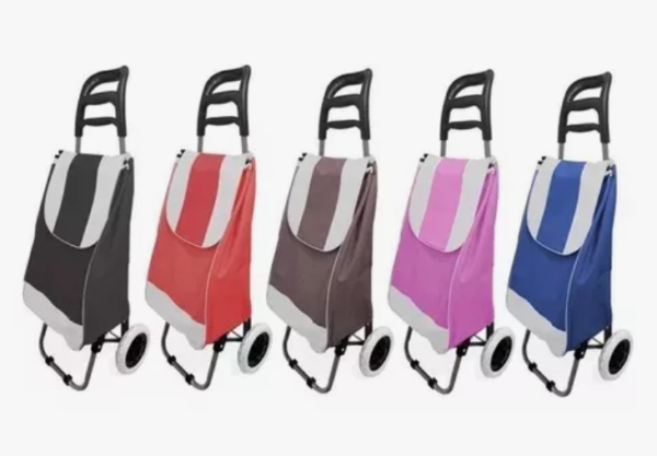 CARRITO DE MANDADO ESTAMPADO