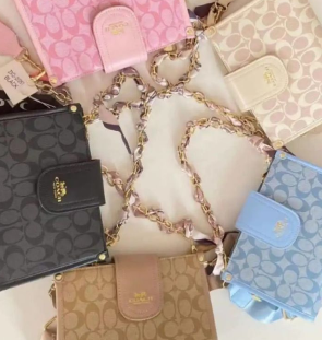 BOLSA COACH 2