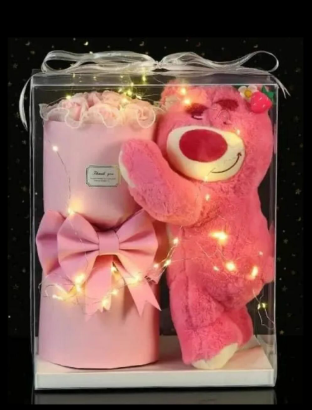 REGALO LOTSO