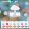 HUMIDIFICADOR DE NUBE