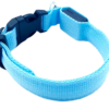 COLLAR DE PERRO CON LUZ