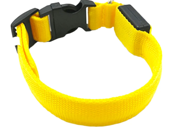 COLLAR DE PERRO CON LUZ