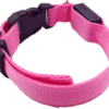COLLAR DE PERRO CON LUZ