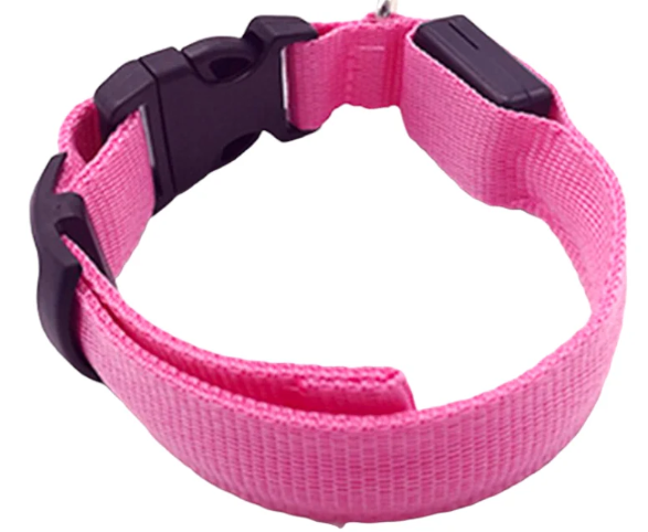 COLLAR DE PERRO CON LUZ