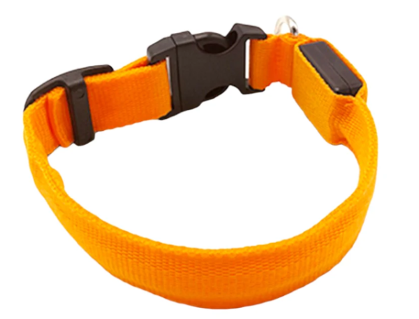 COLLAR DE PERRO CON LUZ