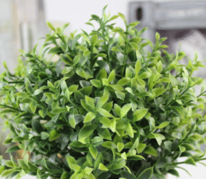 PLANTA ARTIFICIAL