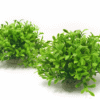 PLANTA ARTIFICIAL