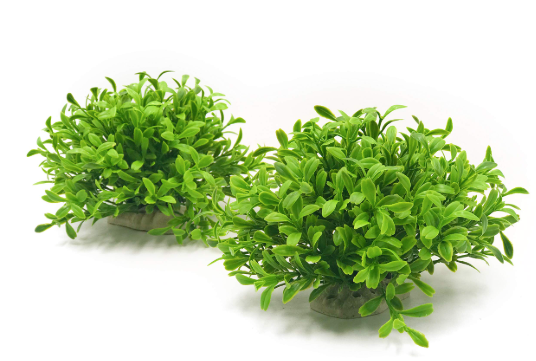 PLANTA ARTIFICIAL