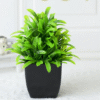 PLANTA ARTIFICIAL