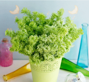 PLANTA ARTIFICIAL