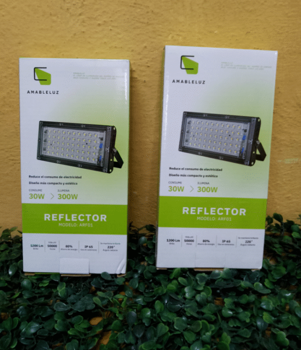 Captura de pantalla 2025-07-22 133859 REFLECTOR 30 W