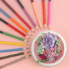 BI COLORES 12 PZ