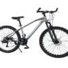 251010110941_4_4066_1020102020251109390999.png BICICLETA Z29 RODADA 29