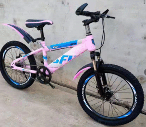 Captura de pantalla 2025-10-10 113131 BICICLETA Z33 RODADA 20