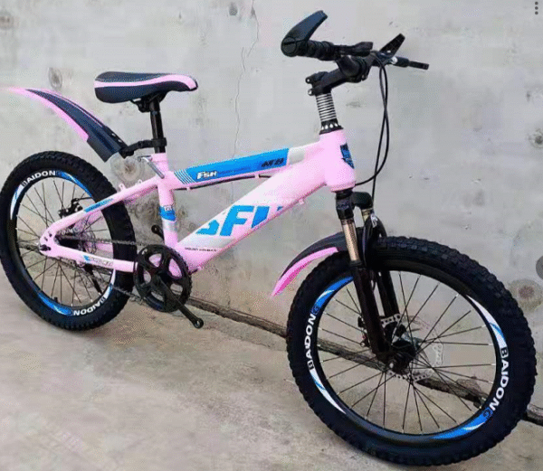 Captura de pantalla 2025-10-10 113131 BICICLETA Z33 RODADA 20
